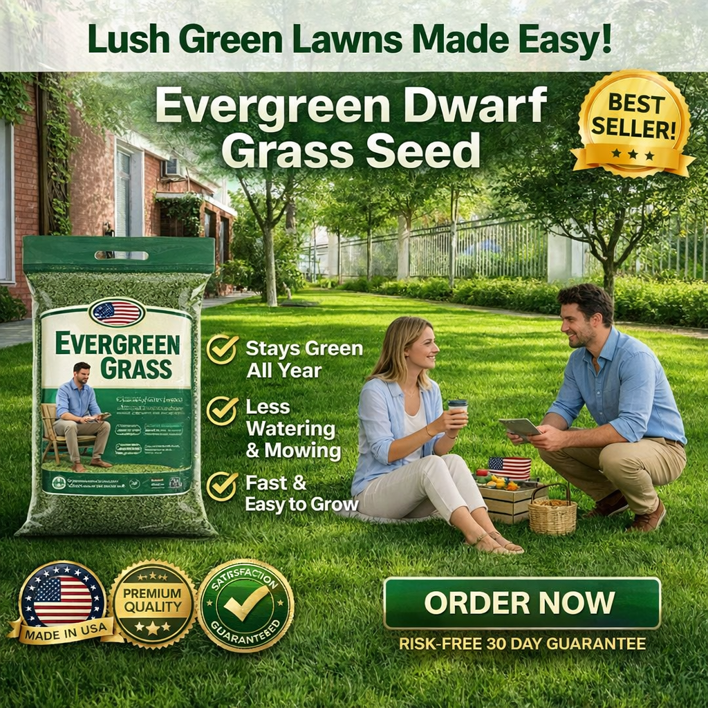 /69d256583ebc45000ac35057/2026/04/16/product-img-69e11e15373c02bd69cc0916.png
